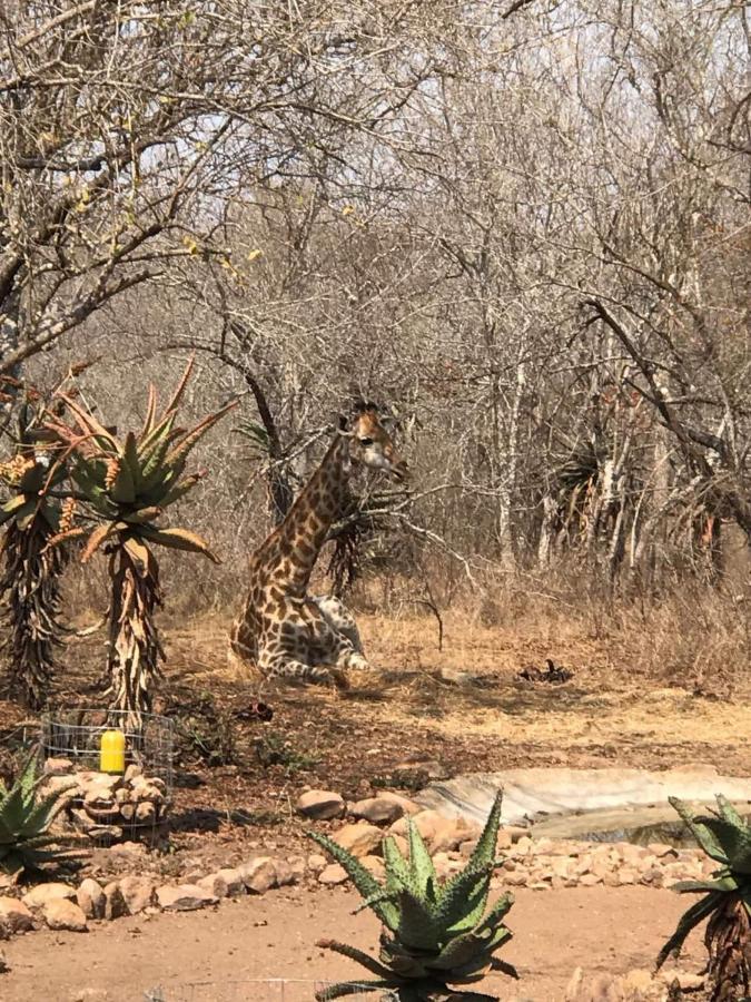 Lituba Place Marloth Park Exterior photo