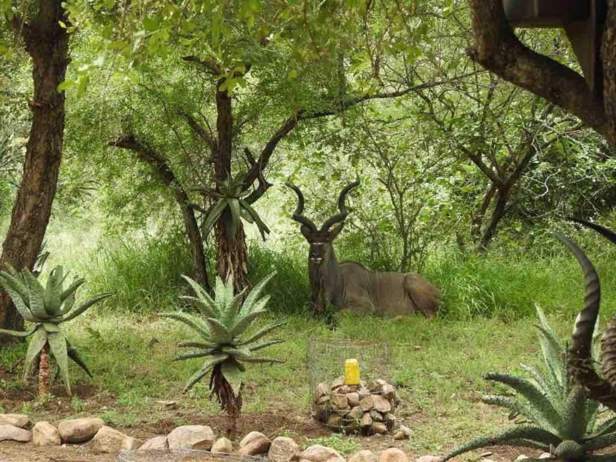 Lituba Place Marloth Park Exterior photo